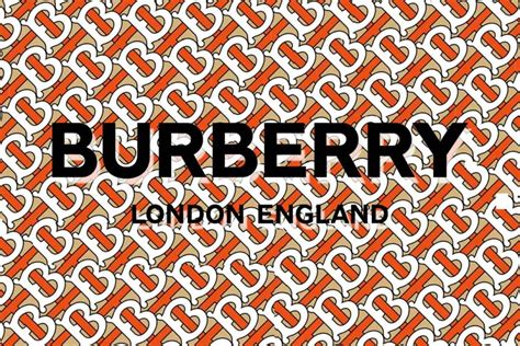 burberry logo colour meaning honey|burberry logo design.